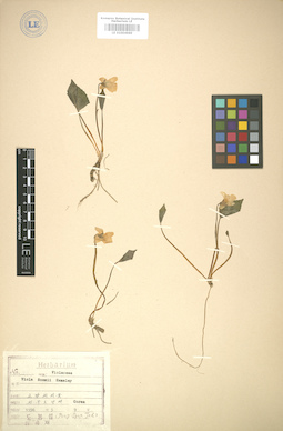 LE 01004989