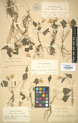 LE 01004993