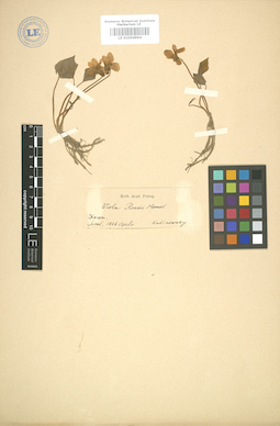 LE 01004994