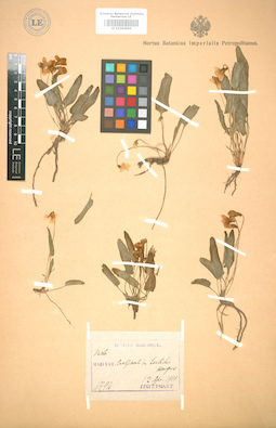 LE 01004999
