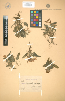 LE 01005003