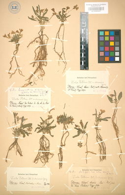LE 01005007