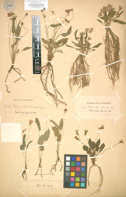 LE 01005009