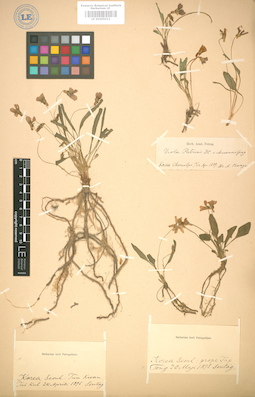 LE 01005011