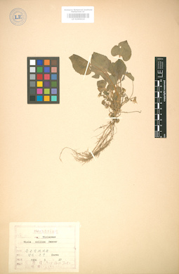 LE 01005016