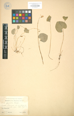 LE 01005017