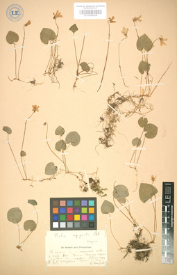 LE 01005018