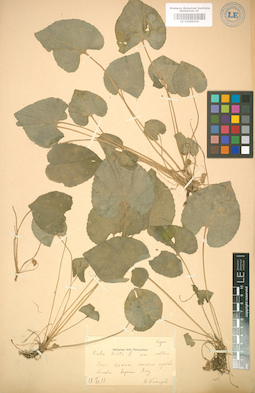 LE 01005019