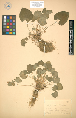LE 01005020