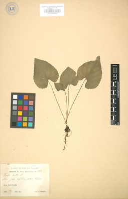 LE 01005021