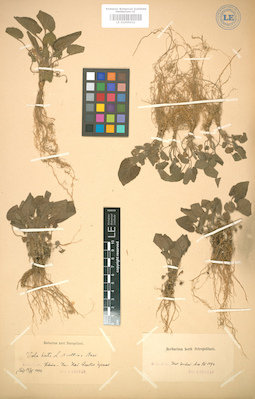 LE 01005022