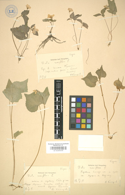 LE 01005035