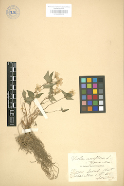 LE 01005039
