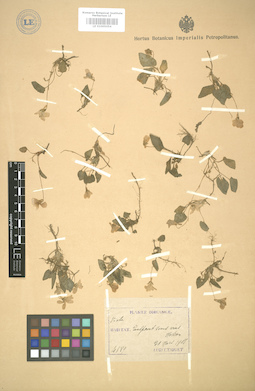 LE 01005054