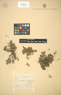 LE 01005056