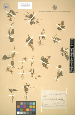 LE 01005060