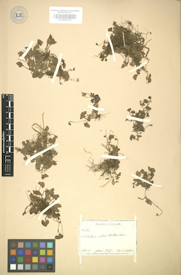 LE 01005074