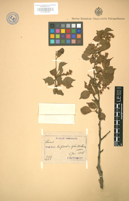 LE 01005080
