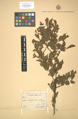 LE 01005082