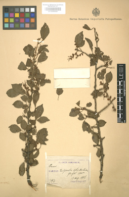 LE 01005083