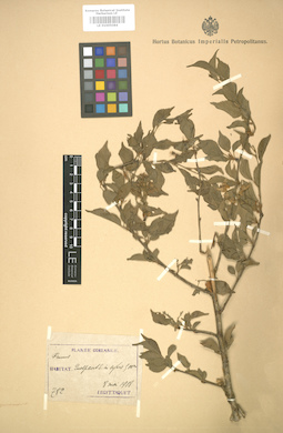 LE 01005084
