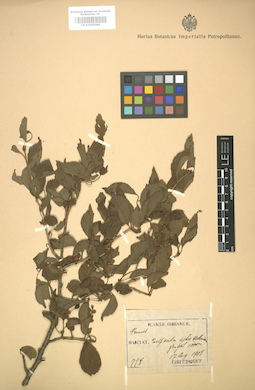 LE 01005085