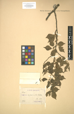 LE 01005088