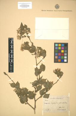 LE 01005090