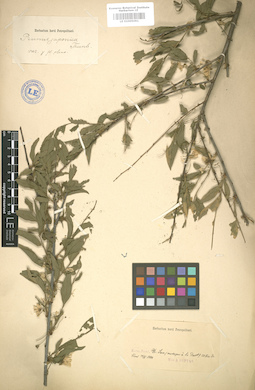 LE 01005091