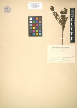 LE 01005092