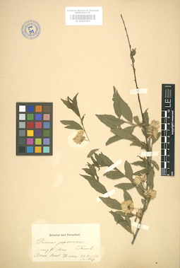 LE 01005093