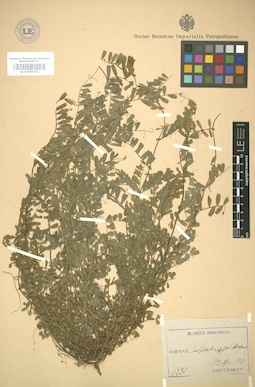 LE 01005101