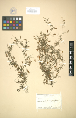 LE 01005105
