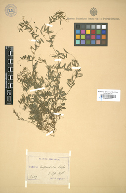 LE 01005107