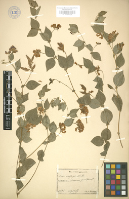 LE 01005110