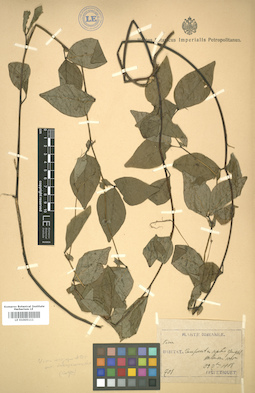 LE 01005111