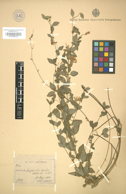 LE 01005112