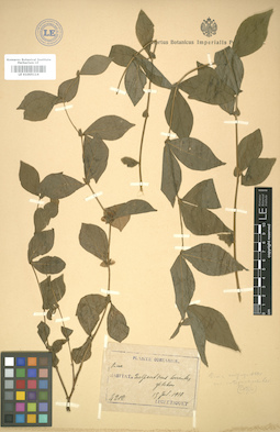 LE 01005114