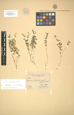 LE 01005115