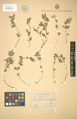 LE 01005116