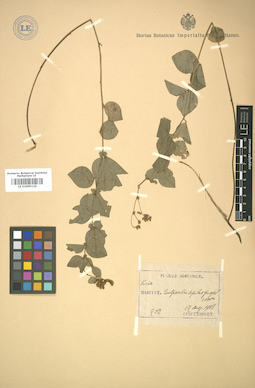 LE 01005119