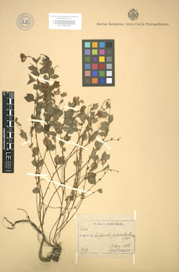 LE 01005120