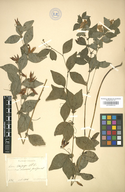 LE 01005121