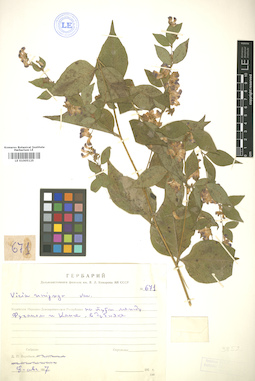 LE 01005125