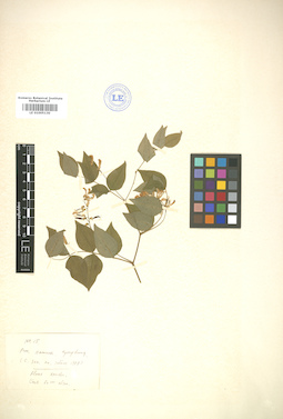 LE 01005130