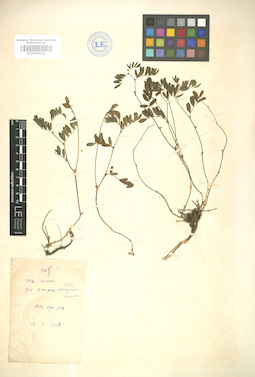 LE 01005131