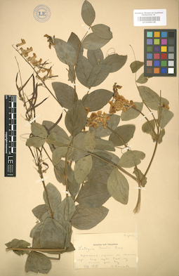 LE 01005138