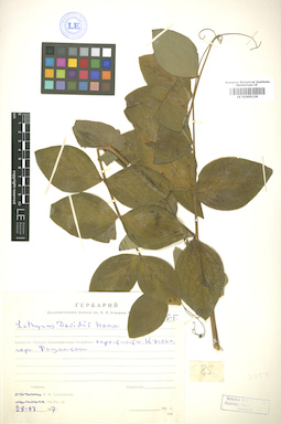 LE 01005139
