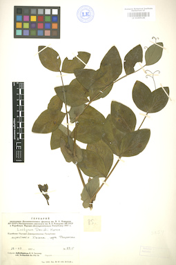LE 01005140