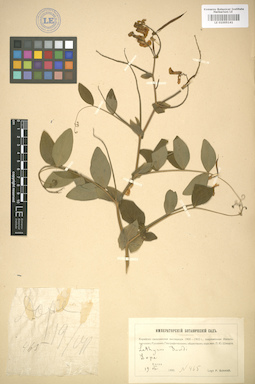 LE 01005141